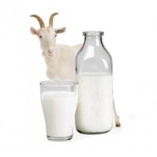 Goat's Milk
