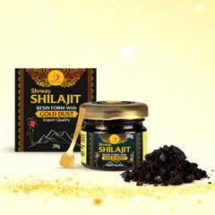 Shrway Biotec Shilajit Resin 20g | 500mg/Serving | Ayurvedic Shilajeet For Energy Booster, Increase Stamina, Muscle Growth | Infused with Gold | Supports Healthy Testosterone Level | Rich in Fulvic Acid