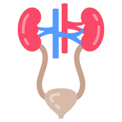 Diagnosed With BPH/Enlarged Prostate