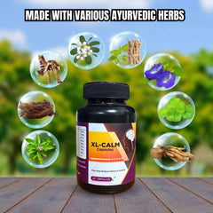 Image Of The Product 4