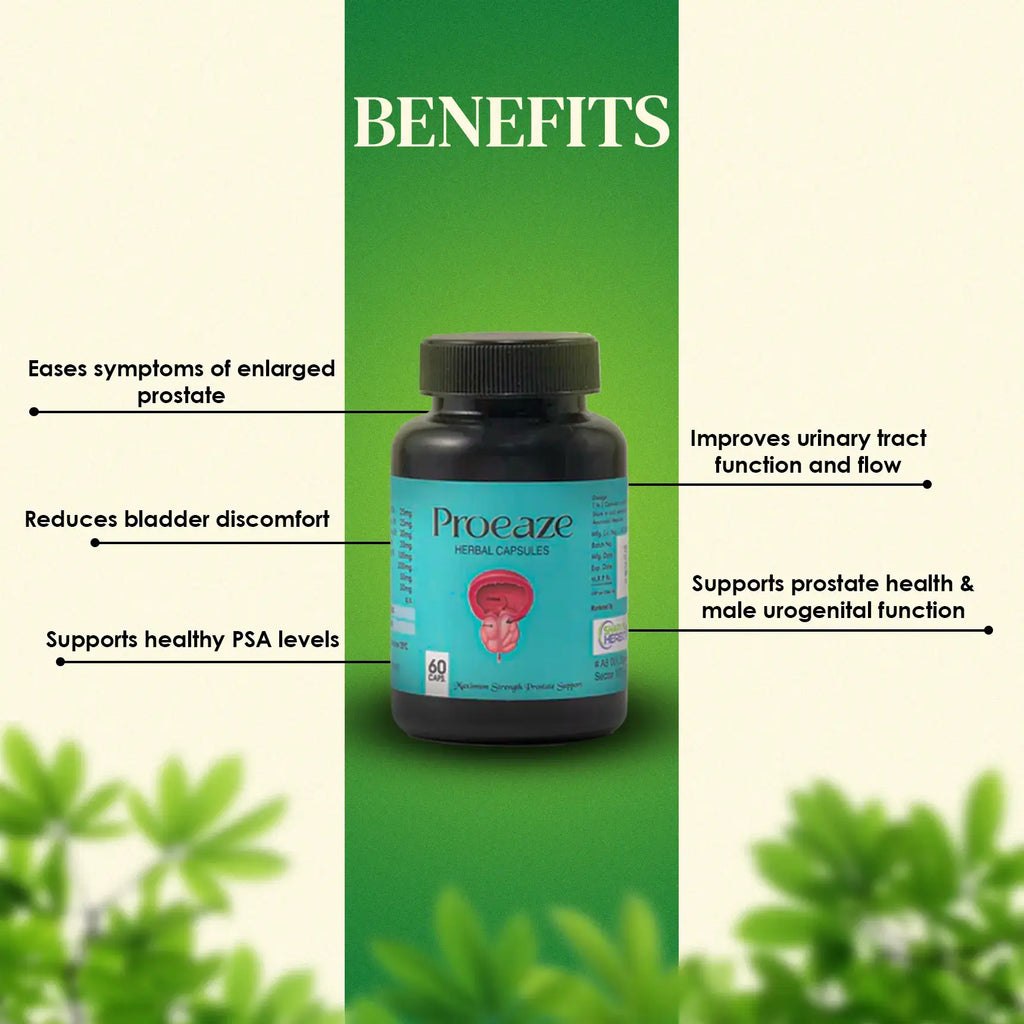 Image Of The Product 4