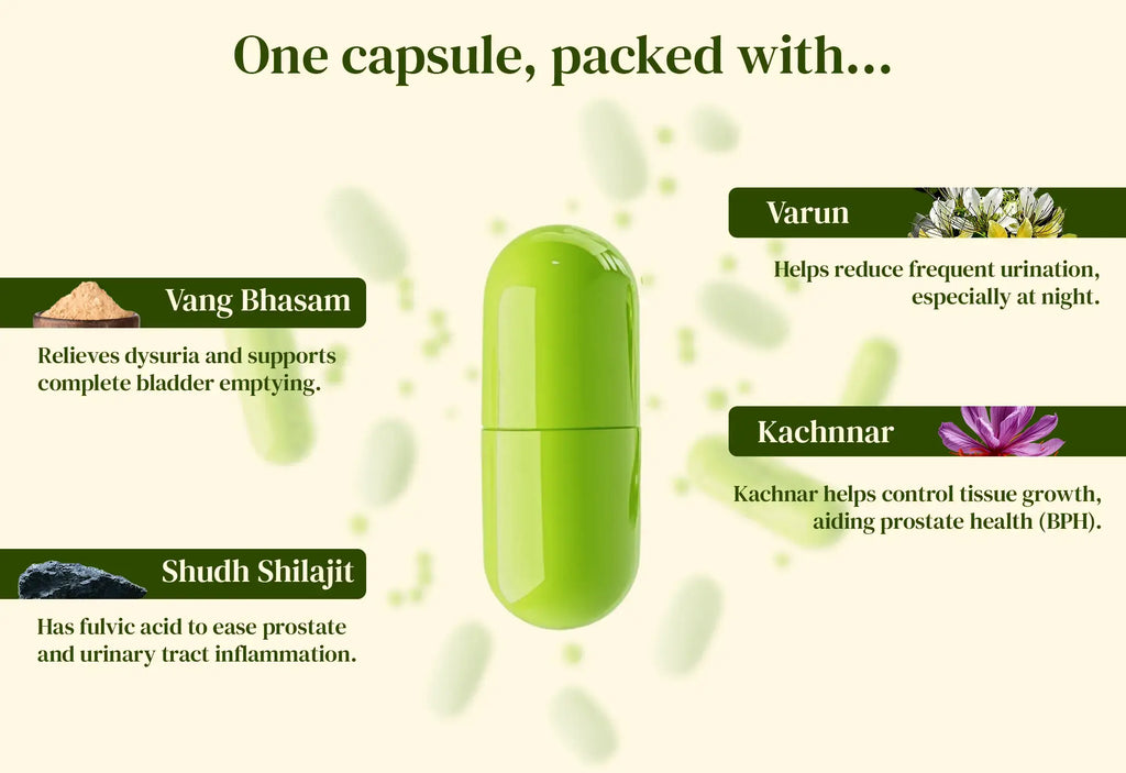 Image Of The Product 5